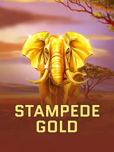Stampede Gold