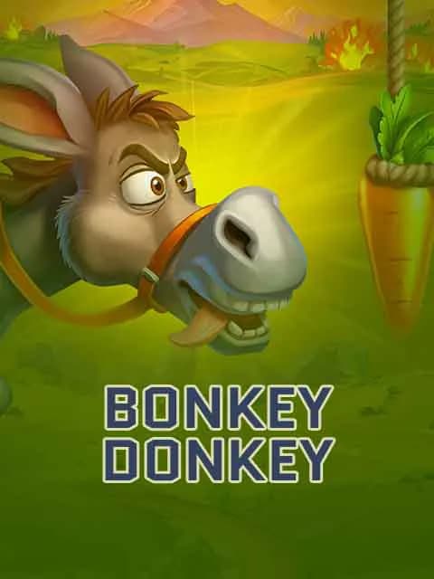 Bonkey Donkey
