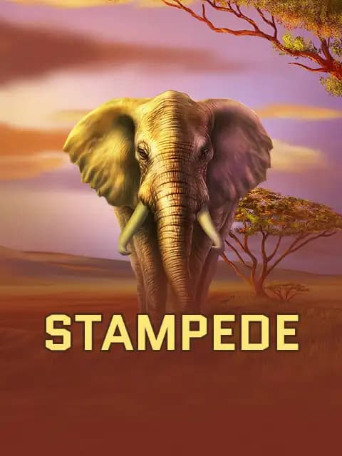 Stampede
