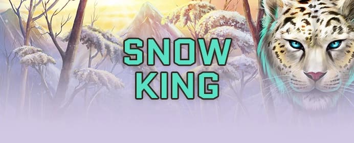 Snow King