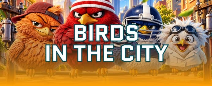 Birds in the city 