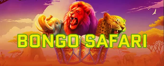 Bongo Safari