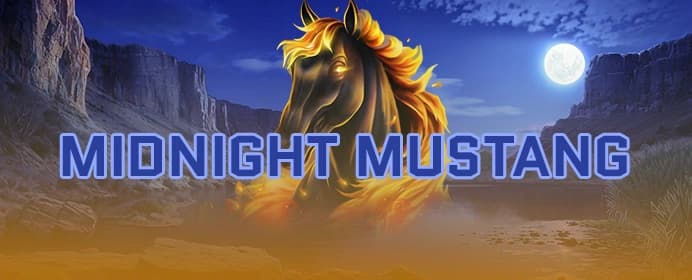 Midnight Mustang