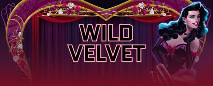 Wild Velvet