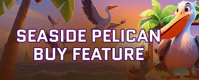 Seaside Pelican Buy Feature