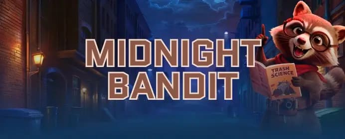 Midnight Bandit