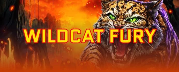 Wildcat Fury