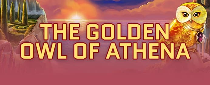 The Golden Owl of Athena