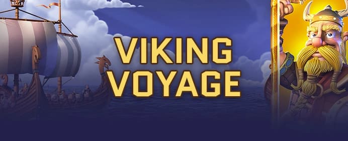 Viking Voyage