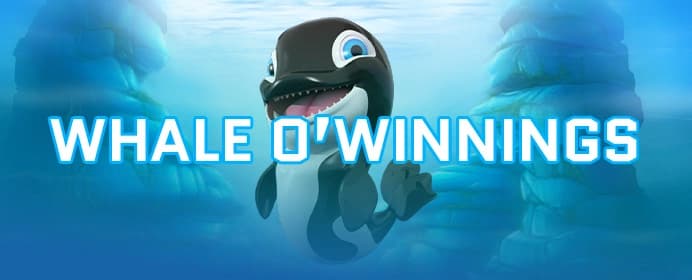 Whale O' Winnings