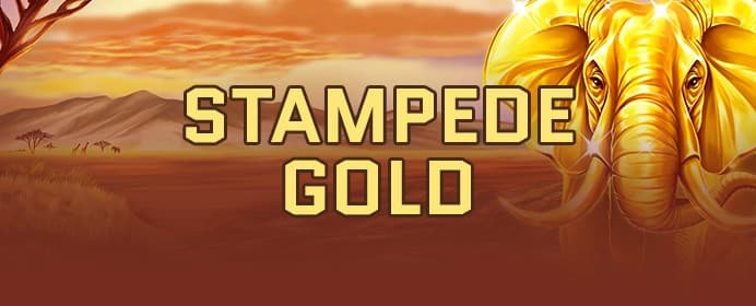 Stampede Gold